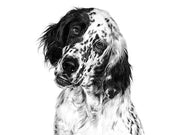 Royal Canin Vet Satiety Support Canine - Dry Dog Food Poultry 1 5 kg