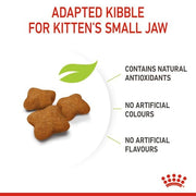 Royal Canin Kitten Sterilised | Confezione tripla | 3 x 400 g | Alimento completo per gatti | Specifico per gatti sterilizzati in crescita da 6 a 12 mesi di et?