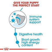 Royal Canin Crocchette per cucciolo di cane di taglia media, 4 kg
