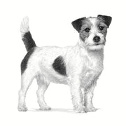 Royal Canin Pill Assist Small Dog | 90 g | Crocchette modellabili per la somministrazione di farmaci a cani adulti di piccola taglia | Per stimolare l'appetito