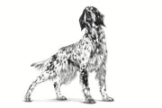 Royal Canin Veterinary GASTROINTESTINAL High Fibre | 2 kg | Mangime Completo per Cani Adulti | per Il Supporto digestivo | Alto Contenuto di Fibre | Contenuto energetico adeguato
