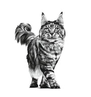 Royal Canin Veterinary Gatrointestinal Moderate Calorie | Confezione Doppia | 2 x 12 x 85 g | Alimento dietetico completo per gatti | Per alleviare i disturbi acuti dell'assorbimento intestinale