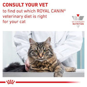 Royal Canin Veterinary Sensitivity Control | Confezione Doppia | 2 x 12 x 85 g | Alimento dietetico completo per gatti adulti | Per ridurre i sintomi di intolleranza ai nutrienti