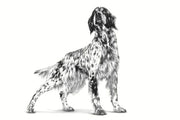 Royal Canin Veterinary Gastrointestinal Low Fat | 1,5 kg | Alimento dietetico completo per cani adulti | Cibo secco per il supporto digestivo | Basso contenuto di grassi