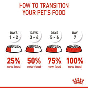 ROYAL CANIN Kitten Sterilised | Confezione Doppia | 2 x 400 g | Alimento Completo per Gatti | Specifico per Gatti sterilizzati in Crescita da 6 a 12 Mesi di et?