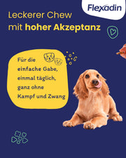 Flexadin? Adult Dog| Per articolazioni sane di cani adulti|con collagene non denaturato di tipo II (UC-II?) - 60 collagene articolare