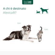 Alevica, Alimento complementare per il Benessere del Sistema nervoso a base di PEA-q per Cani e Gatti, mantiene l'Equilibrio Fisiologico del Sistema Nervoso - Flacone da 100 ml