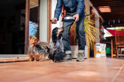 Veterinary HPM Virbac - Veterinary HPM Dog Adult Small Toy - 1268 - 1,5 Kg.
