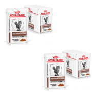 Royal Canin Veterinary Gatrointestinal Moderate Calorie | Confezione Doppia | 2 x 12 x 85 g | Alimento dietetico completo per gatti | Per alleviare i disturbi acuti dell'assorbimento intestinale