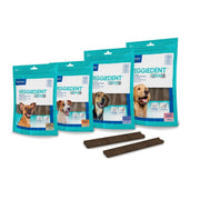 VEGGIEDENT FR3SH 15 STICK