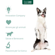 Innovet Condrostress (+), per Cani Adulti e Anziani con rigidità articolare, neutralizza i Radicali Liberi