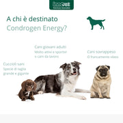 Innovet Condrogen Energy, Salute articolare, libertà di Movimento per Cani, Nutre la Cartilagine Articolare e Ottimizza la Funzione dei Tessuti Molli, Migliora la Stabilità delle Articolazioni