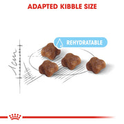 Royal Canin Mother and Babycat Gatte In Gestazione o Lattazione e Gattini da 1 a 4 Mesi di Et?