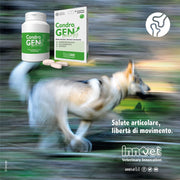 Innovet Condrogen Energy, Salute articolare, libertà di Movimento per Cani, Nutre la Cartilagine Articolare e Ottimizza la Funzione dei Tessuti Molli, Migliora la Stabilità delle Articolazioni