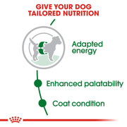 Royal Canin - Royal Canin Mini Adult