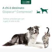 Innovet NUTRITIONAL_SUPPLEMENT