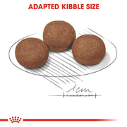 Royal Canin Medium Puppy Alimento Cane - 4000 gr