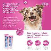 ICF | Stomodine F | Dentifricio per cani e gatti | Sapore di carne | Combatte la placca e l'alitosi | Sana igiene orale dentale | Detergente per denti per animali domestici facile da usare