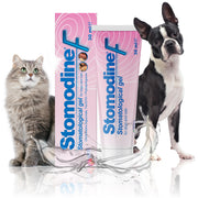 ICF | Stomodine F | Dentifricio per cani e gatti | Sapore di carne | Combatte la placca e l'alitosi | Sana igiene orale dentale | Detergente per denti per animali domestici facile da usare