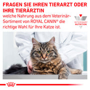 Royal Canin Veterinary Gastrointestinal | Confezione Doppia | 2 x 12 x 85 g | Cibo umido per gatti adulti | Pezzi fini in salsa | Per i disturbi dell'assorbimento intestinale