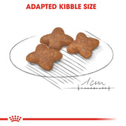 Royal Canin - Royal Canin Mini Adult