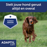 Adaptil Collare