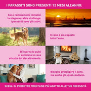 Frontline TriAct, Pipette, Cane, Antiparassitario per Cani e Cuccioli di Lunga Durata, Protegge il Cane da Pulci, zecche, Zanzare, Pappataci e Leishmaniosi, Antipulci