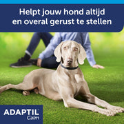Adaptil Collare