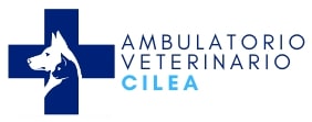 ⭐VetPet-Solutions⭐